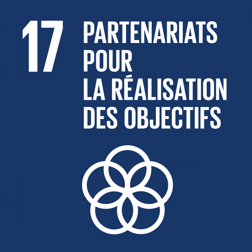 Fiche ODD n°17 - Partenariats pour la réalisation des objectifs