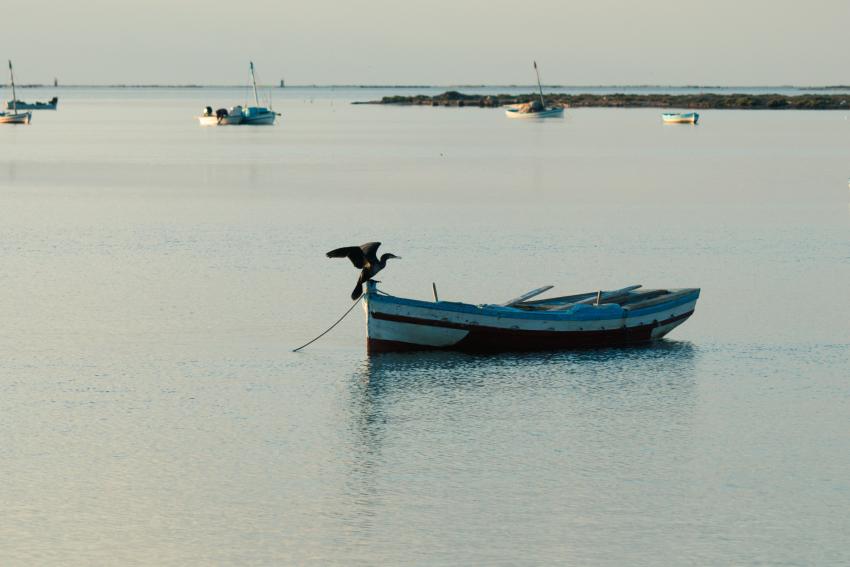 SMILO, les petites îles en quête de résilience
