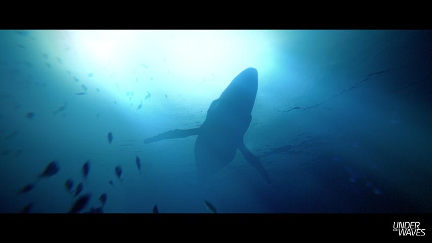 Under The Waves, le jeu vidéo qui associe aventure et sensibilisation à la protection des océans