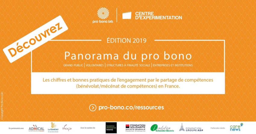 Panorama du pro bono - édition 2019