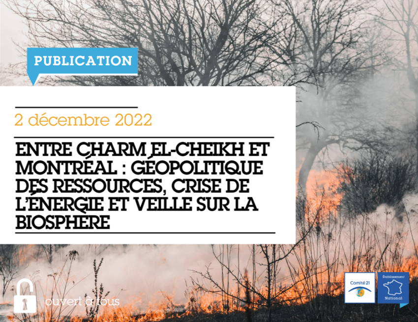 Entre Charm El-Cheikh et Montréal : Géopolitique des ressources, crise de l'énergie et veille sur la biosphère